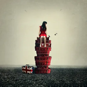 Baggage by Michelle Mackie