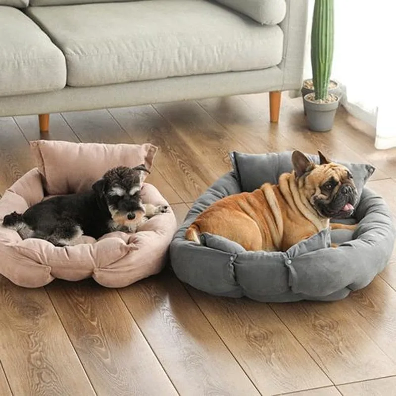 Multi functional Bed
