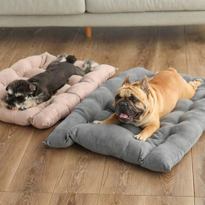 Multi functional Bed