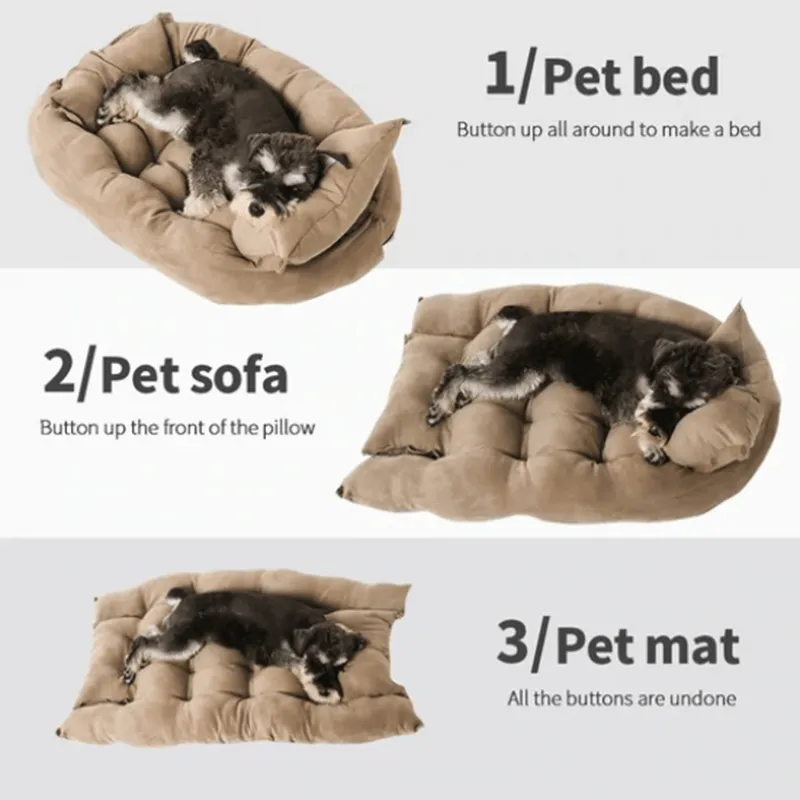 Multi functional Bed